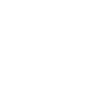 dash